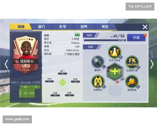 巴西足球联赛新赛季转会动态解析 引援风云与球队布局变化分析