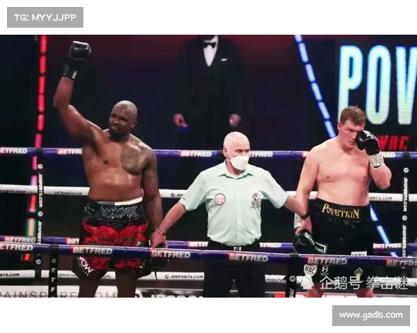 希尔戈维奇力克波维特金,WBA重量级冠军称霸